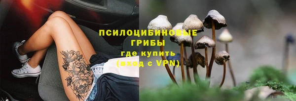 прущая мука Армянск
