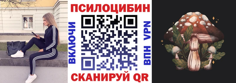 Галлюциногенные грибы Cubensis Няндома